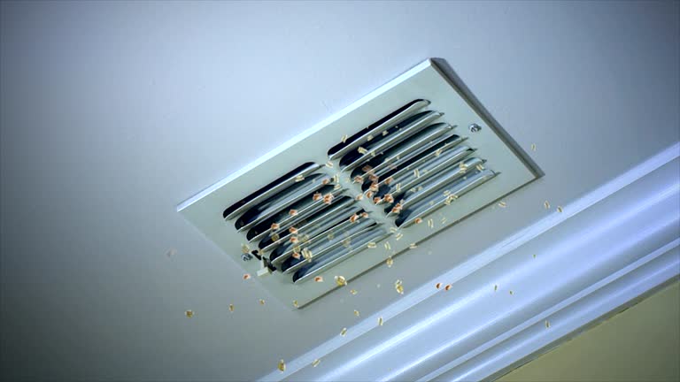 Best Commercial Air Duct Cleaning  in Quitman, MS