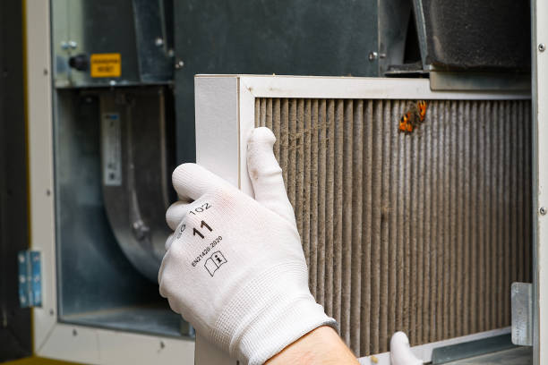 Best Affordable Air Duct Cleaning  in Quitman, MS