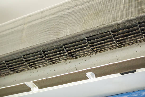 Best Affordable HVAC Duct Cleaning  in Quitman, MS