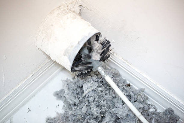 Best Dryer Vent Cleaning Services  in Quitman, MS